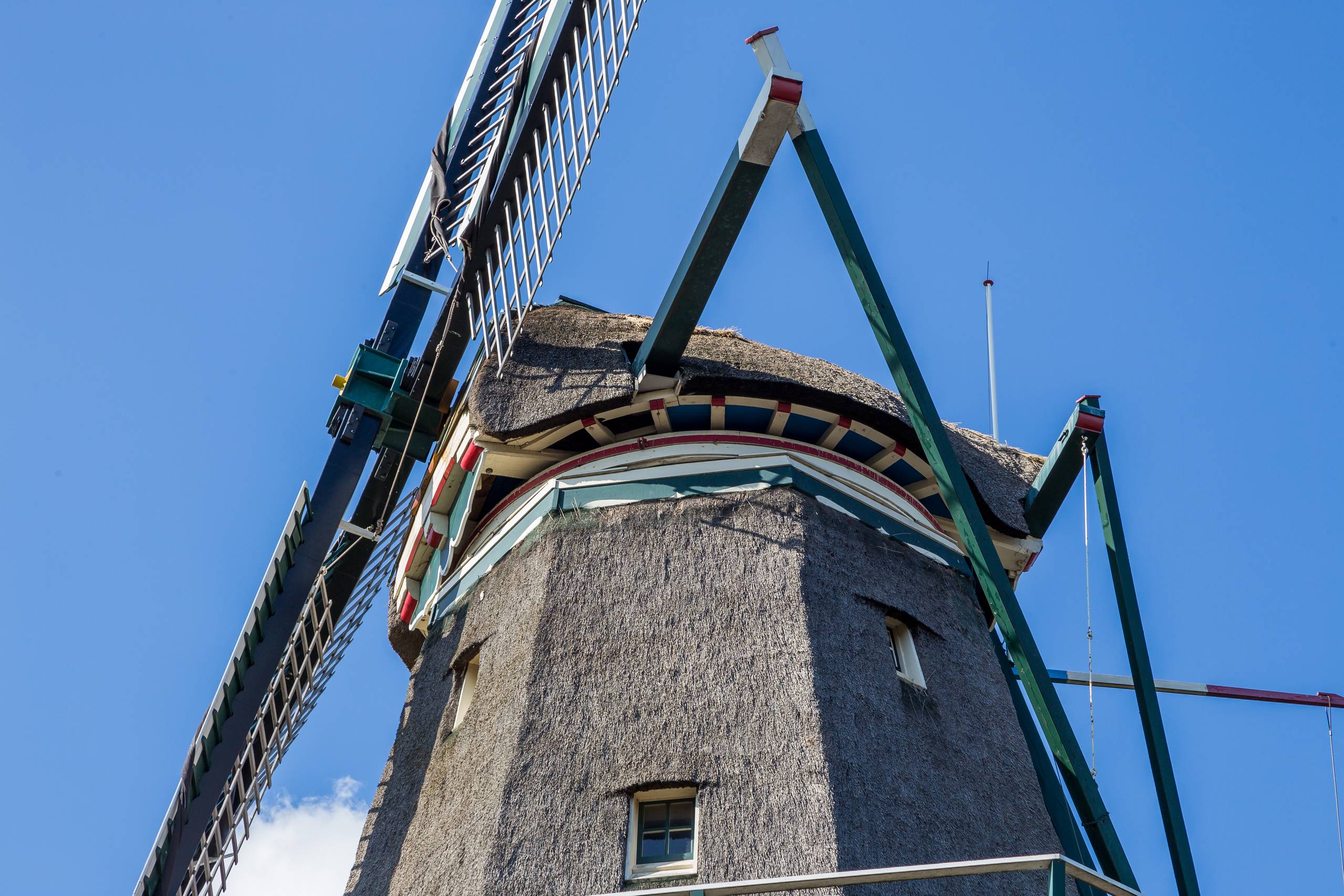 2019 Niederlande 199